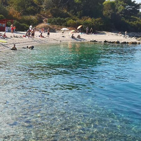 Apartman Nino Donji Okrug  المظهر الخارجي الصورة